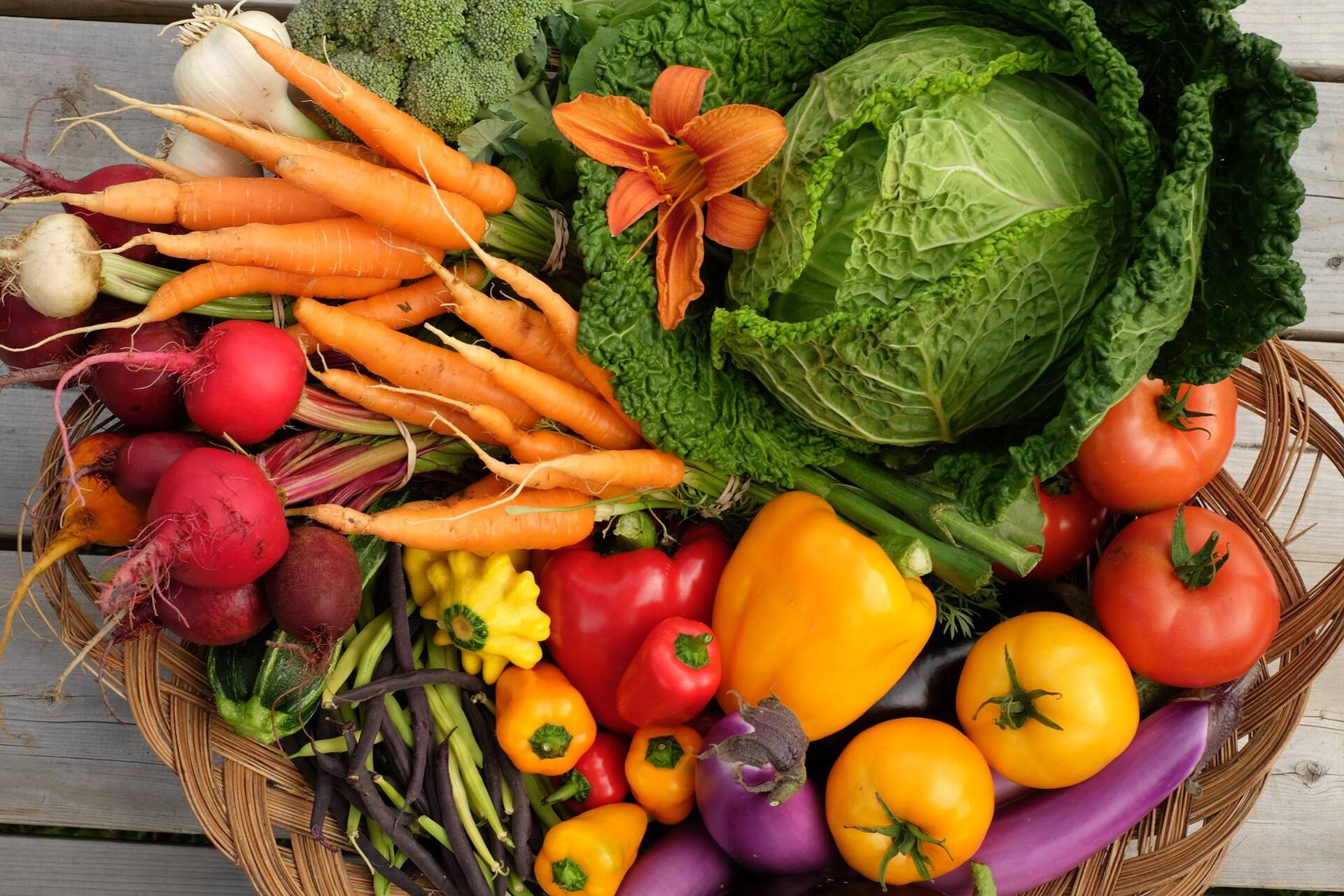 Accueil - Circuit Gourmand de Saint-Fulgence