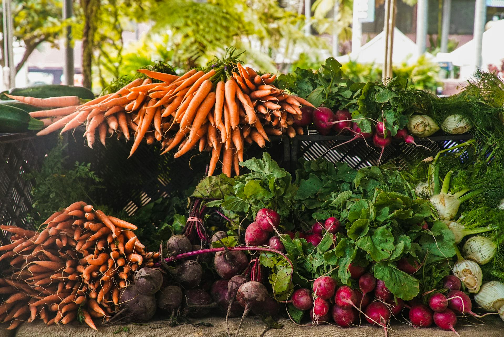 Les Jardins de Sophie - Circuit Gourmand de Saint-Fulgence