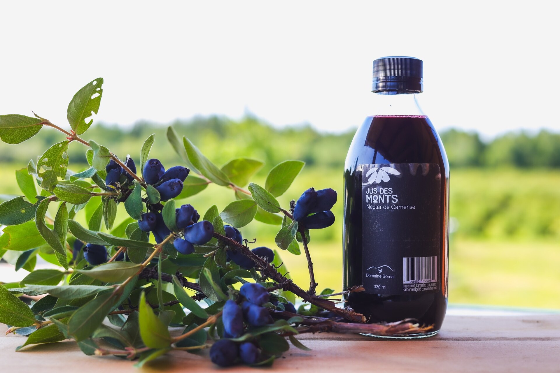 Domaine Boréal - Circuit Gourmand de Saint-Fulgence