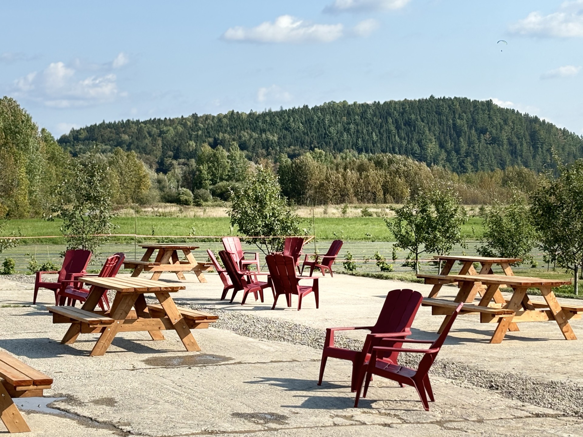 Verger Bella Croquer - Circuit Gourmand de Saint-Fulgence