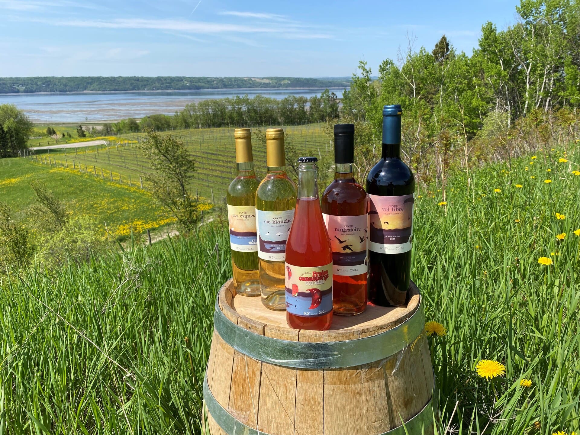 Vins, prêt-à-boire et spiritueux - Circuit Gourmand de Saint-Fulgence